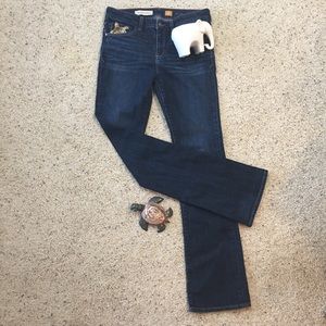 Anthro Pilcro and the Letterpress Stet Jeans